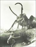 Giant_ant