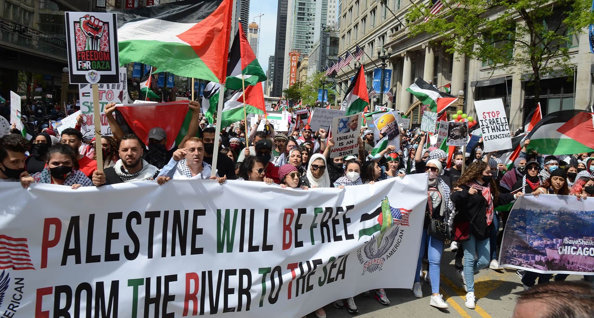 Pro-Palestinian protest